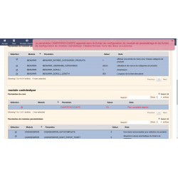 Integrated configuration module for Dolibarr